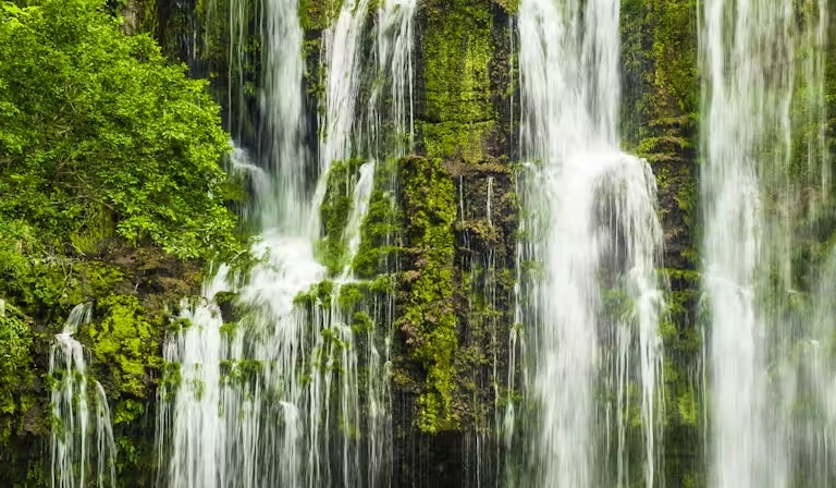 Llanos del Cortés Waterfall Tour costa rica